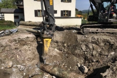 2016-BVH-ÖBB-Vigaun01