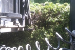 2016-BVH-Tauber-St.-Johann02