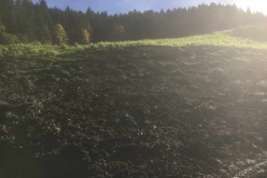 2017-BVH-Aufschüttung-Trinker-Kleinarl13