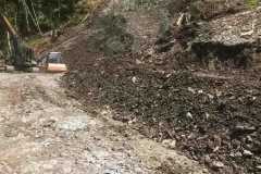 2017-BVH-Kleinarl-WLV11