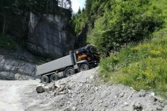 2017-BVH-Kleinarl-WLV8