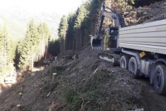 2017-BVH-Shuttleberg-Kleinarl1