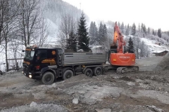 2017-Christbaumtransport-Weissacher1