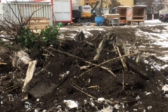 2018-BVH-RHZ-Tenneck04