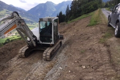 2018-BVH-Zufahrt-Grünreid01