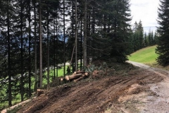 2018-Forstweg-Auhof-Hermi02