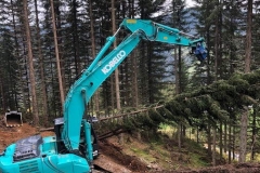 2018-Forstweg-Auhof-Hermi03