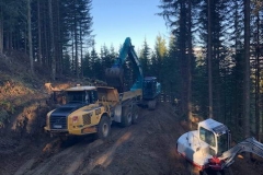 2018-Forstweg-Auhof-Hermi05