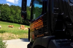 strassenkehrmaschine_2