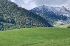 5ce5a909-5c15-4fae-a2b9-818947c981d2