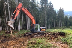 82ffe1c3-7e92-4912-b2c3-234cfba66e77