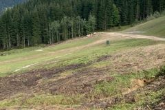 8fe6f4e2-93b0-439d-b258-121a5240bd2b