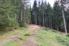 d0bf20e0-5a45-42d9-8186-909742249422