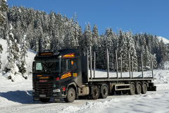 Holztransport-02-Kopie