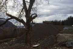 2015-BVH-Aufschüttung-Hub-St.Veit01