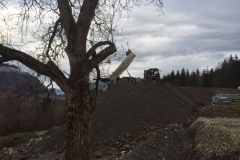 2015-BVH-Aufschüttung-Hub-St.Veit02
