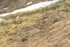 2015-BVH-Aufschüttung-Zehenthof5