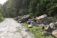 2015-BVH-Fischtreppe-St.-Veitl15