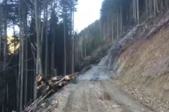 2015-BVH-Jagaplatzl02-St